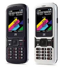 ZTE F116