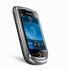 Blackberry Torch