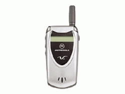 Motorola 60t