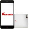 Usuń simlocka z telefonu  Vtelca NX406E